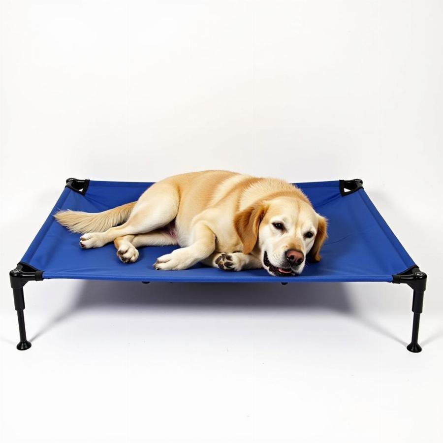 Large Cooling Dog Beds: A Comfort Essential for Your Big Friend