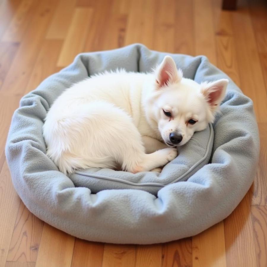 Dog relaxing in a cuddler dog bed