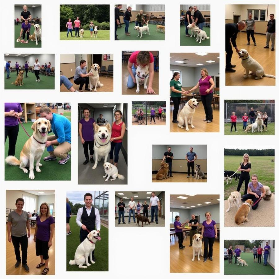 Choosing the right dog training class in Lexington KY