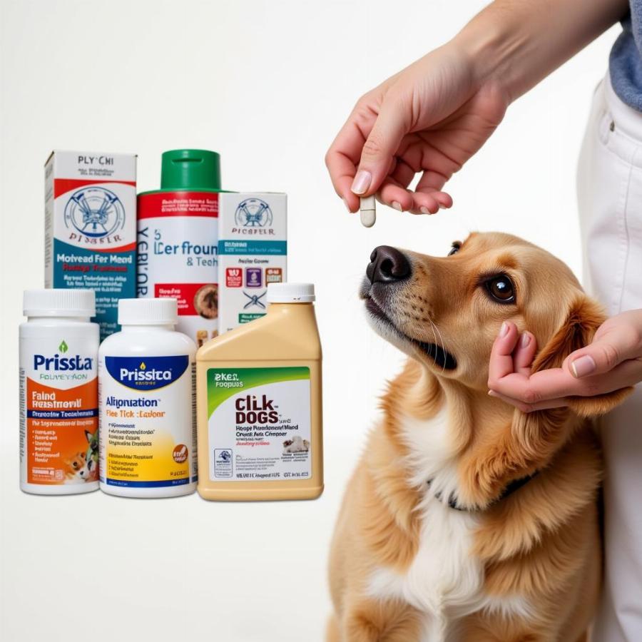 Choosing Effective Flea and Tick Medication for Dogs