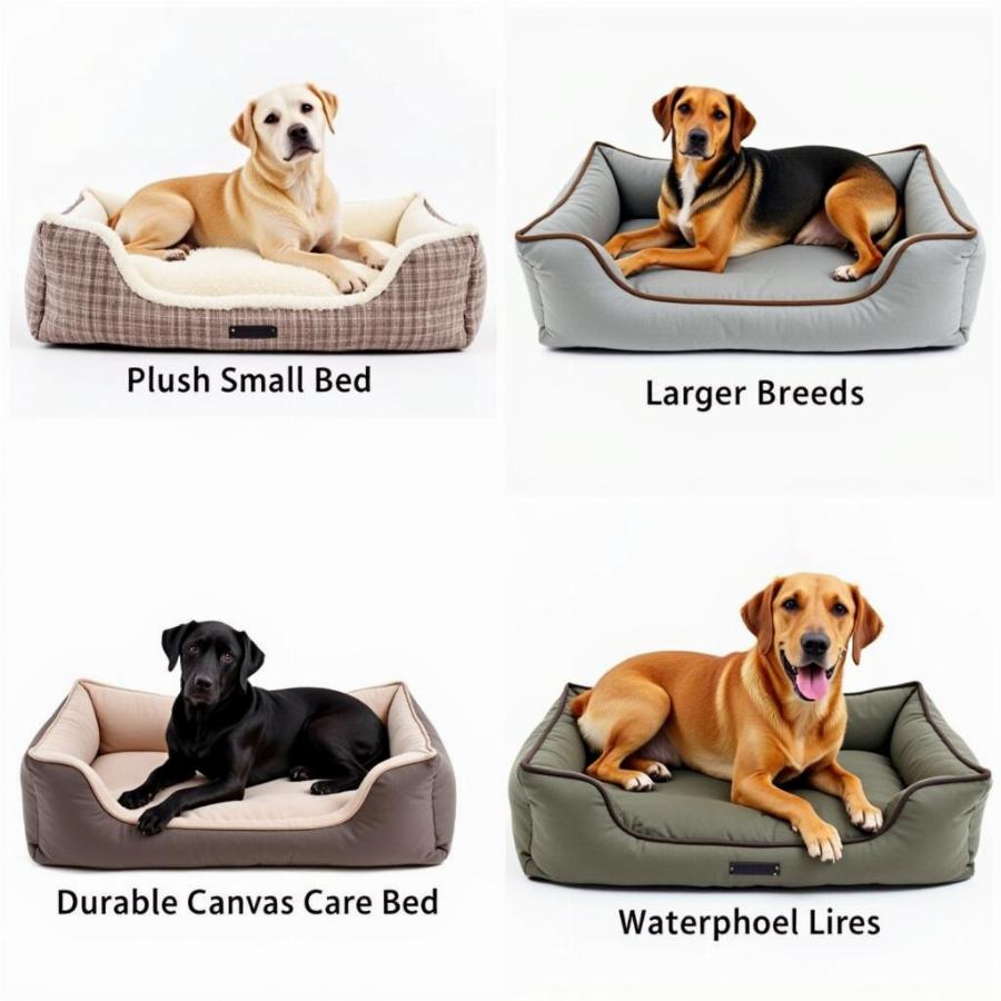 Choosing the Right Cave Dog Bed for Your Dog