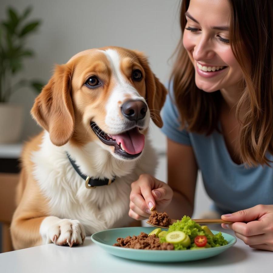 Owner Feeding Dog