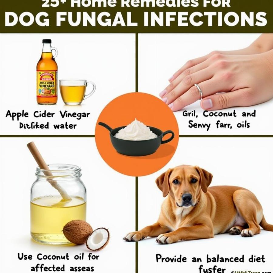 Antifungal Medication for Dogs: A Comprehensive Guide