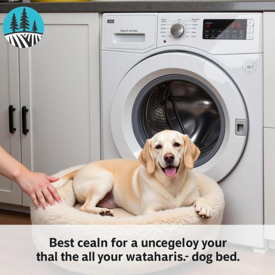 Cleaning a fake fur dog bed in a washing machine