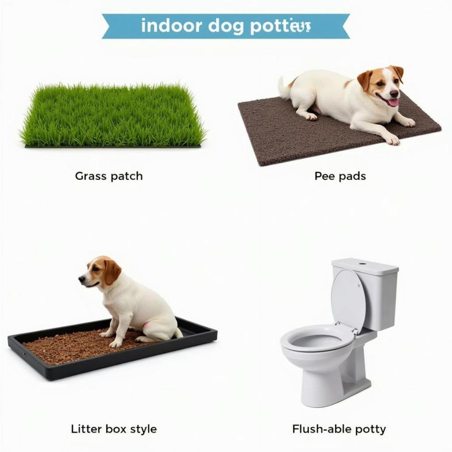 Choosing the Right Inside Potty for Your Dog