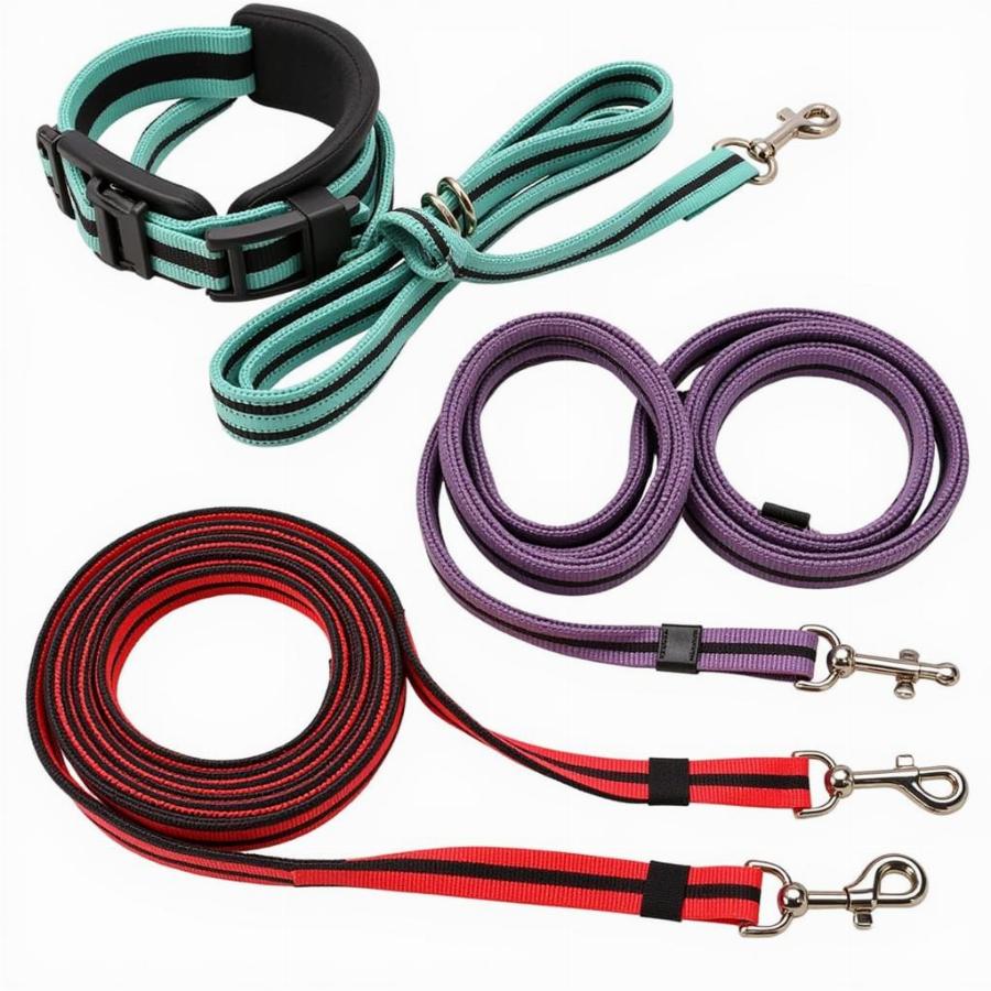 Dog Leashes and Collars