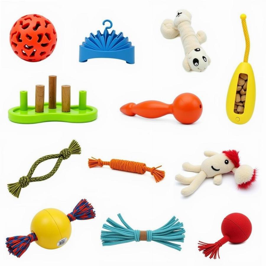 Different types of dog learning toys