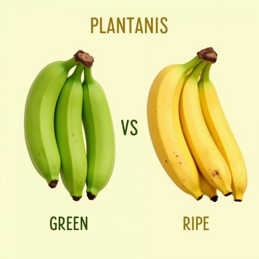 Green and ripe plantains