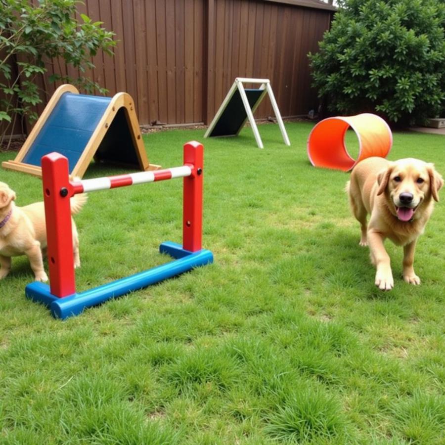 Dog Agility Equipment in Backyard