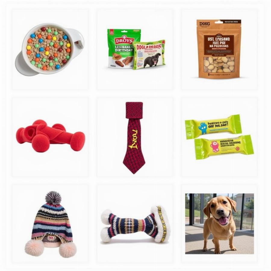 Dog Birthday Gifts: Toys, Treats, and Accessories