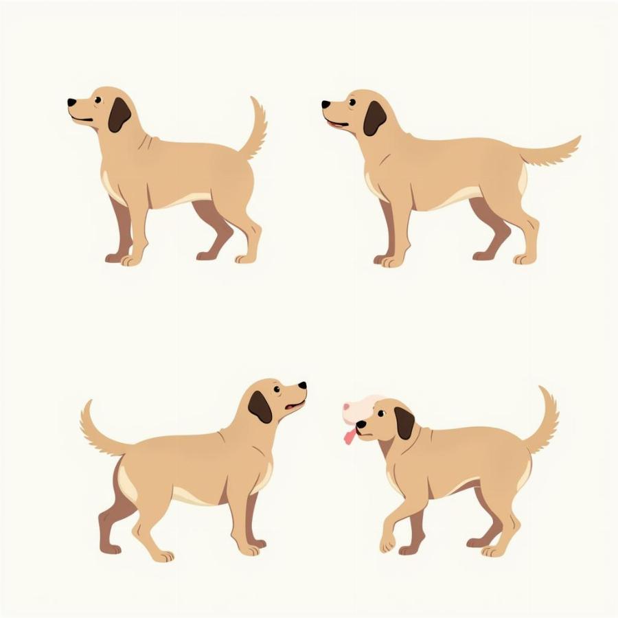 Understanding Dog Body Language Signals