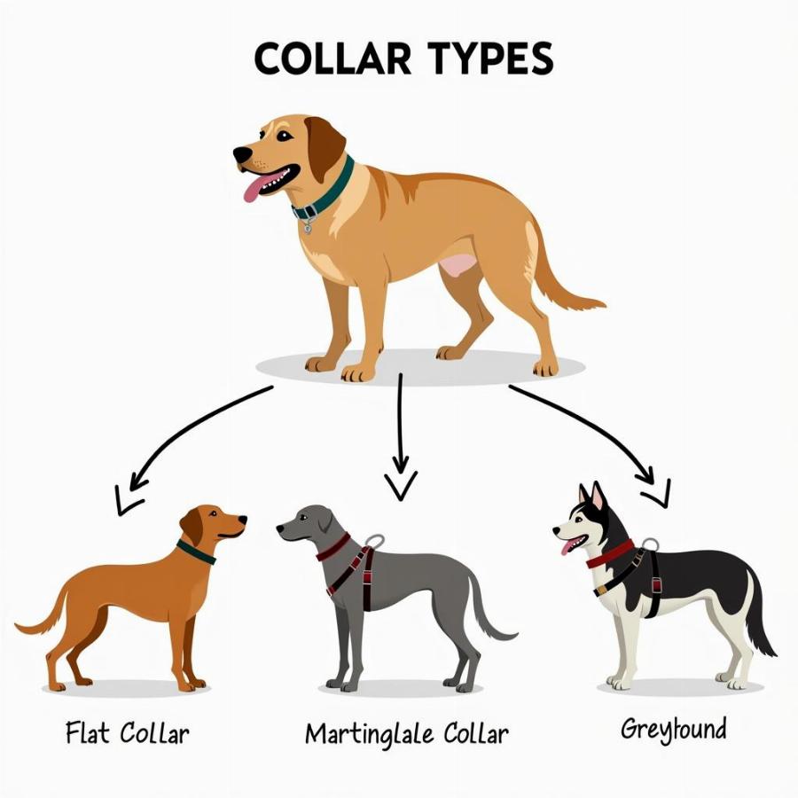 Different Types of Dog Collars for Various Breeds