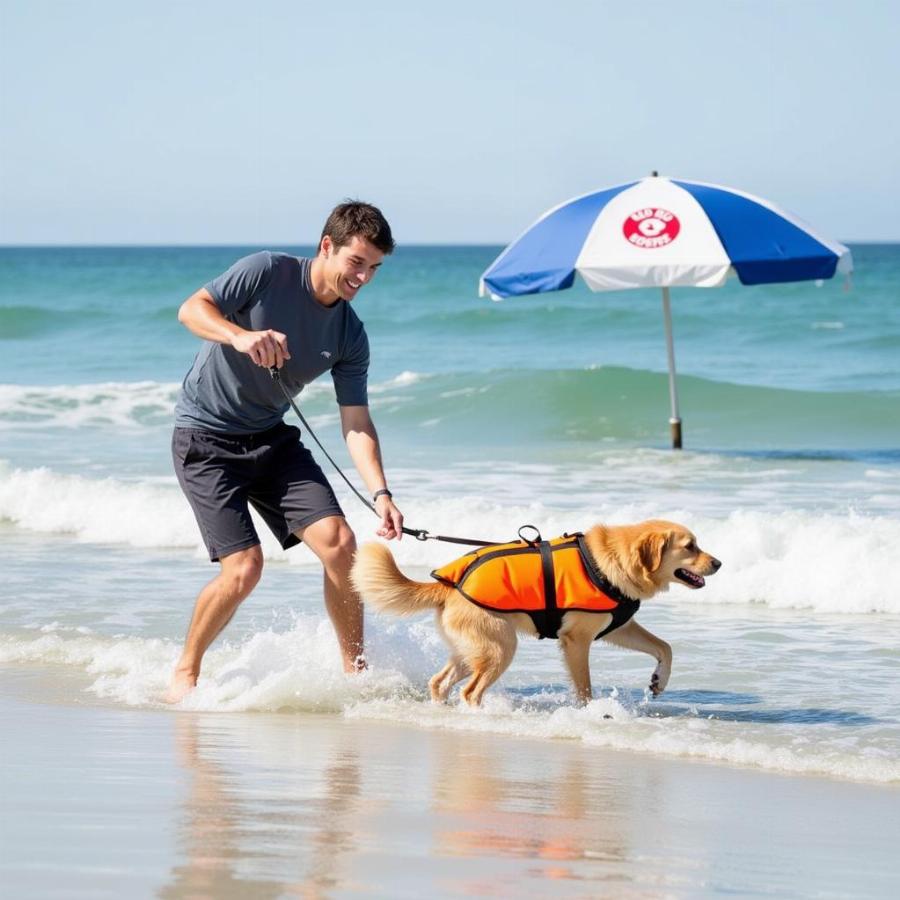 Dog-friendly New Smyrna Beach: A dog enjoying the waves and sand with its owner.