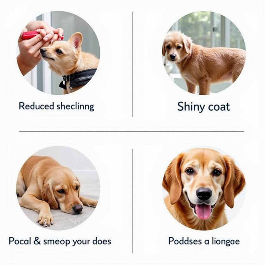 Dog Grooming Gloves Benefits