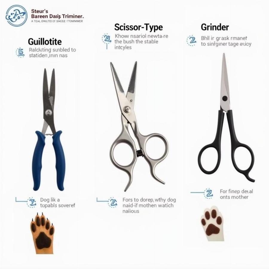 Different Types of Dog Nail Trimmers