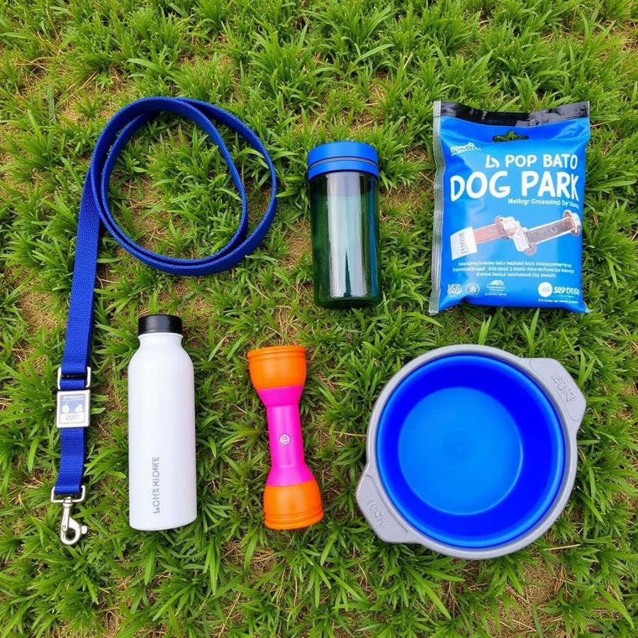 Essential items for a dog park visit