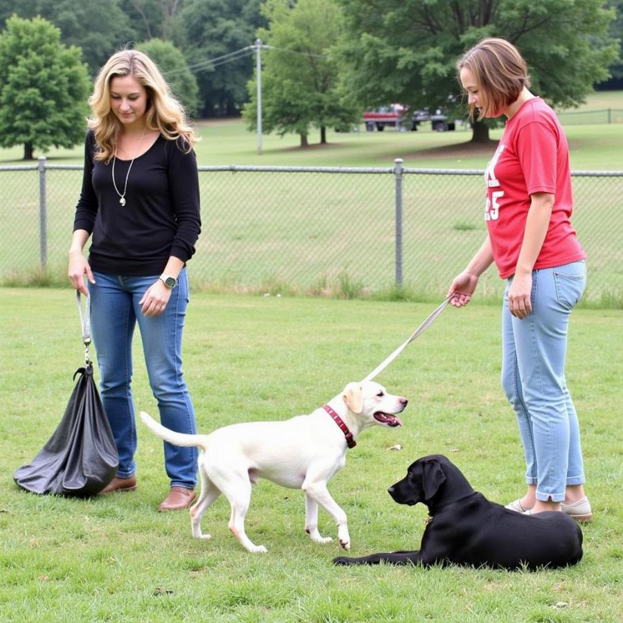 Dog owners practicing proper etiquette at an Austin dog park