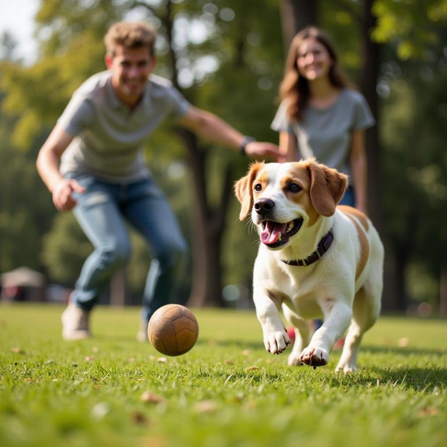 Dog Playing Fetch in the Park with a Happy Owner