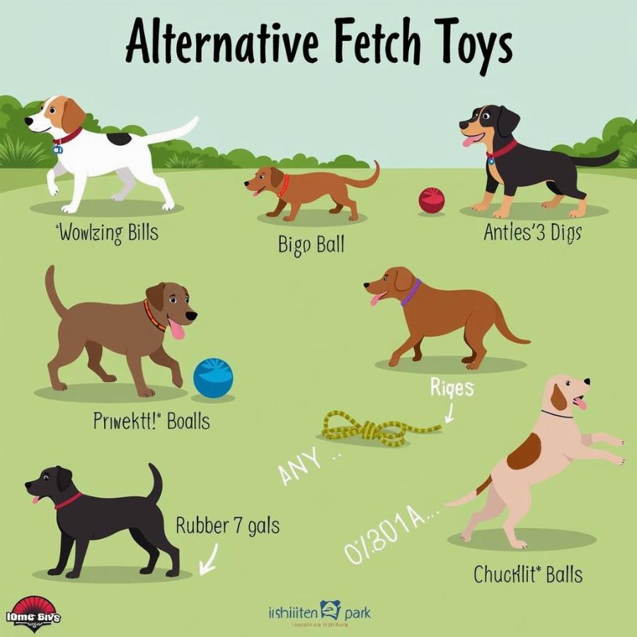 Dogs Playing with Alternative Fetch Toys