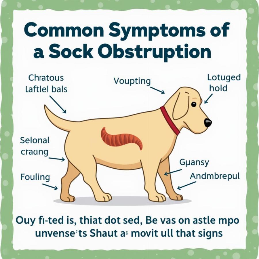 Dog Showing Sock Obstruction Symptoms: Vomiting, Lethargy, and Abdominal Pain