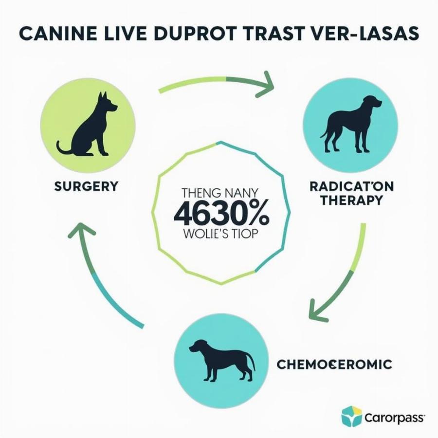 Treatment Options for Dog Soft Tissue Sarcoma