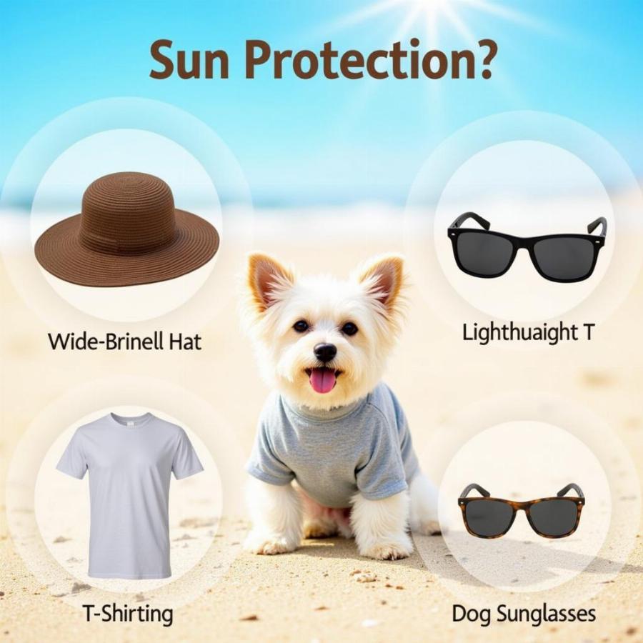 Dog Sun Protection Gear: Hats and Shirts