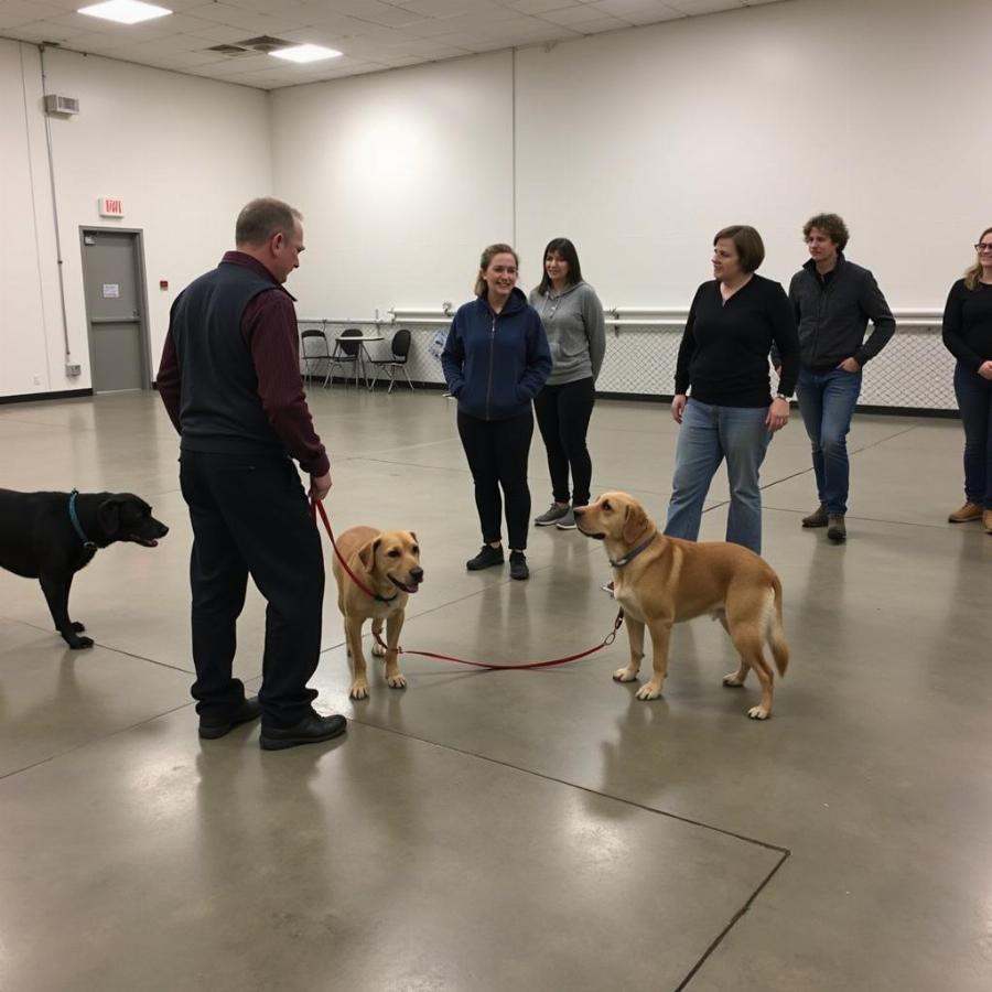 Dog Training Class for Obedience and Socialization