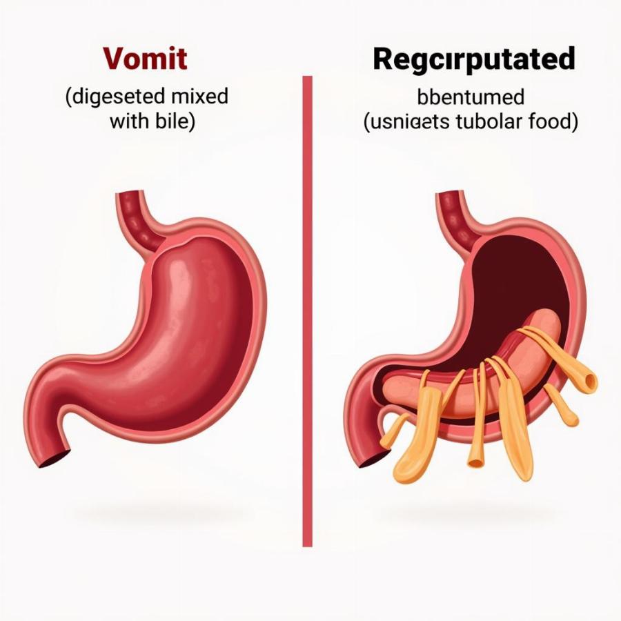 Difference between dog vomiting and regurgitating