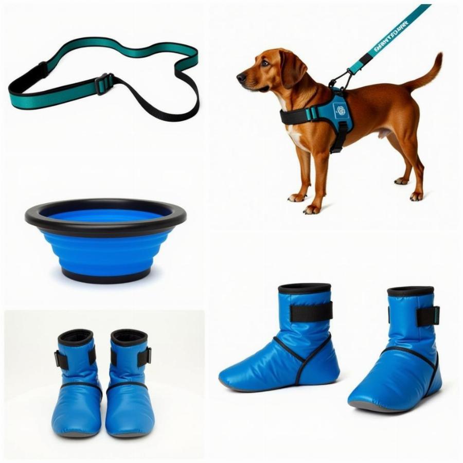 Essential Running Gear for Dogs