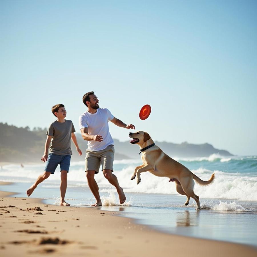 Father and Son Enjoying Beach Day with Their Dog