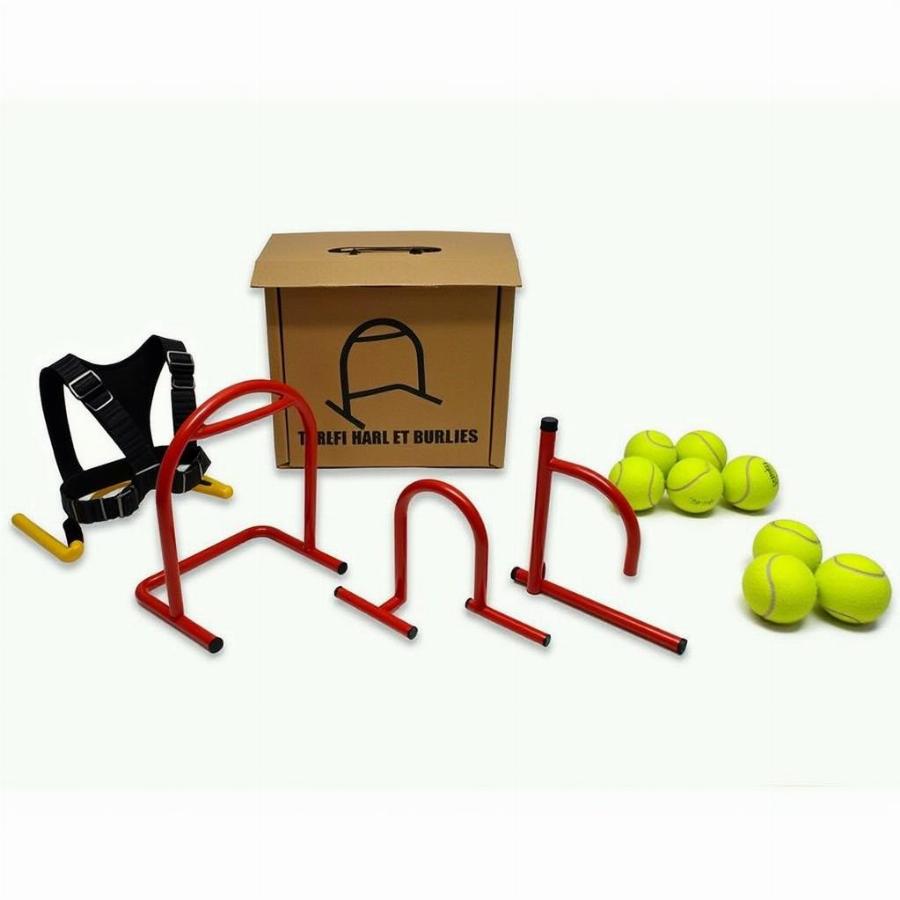 Flyball equipment essentials