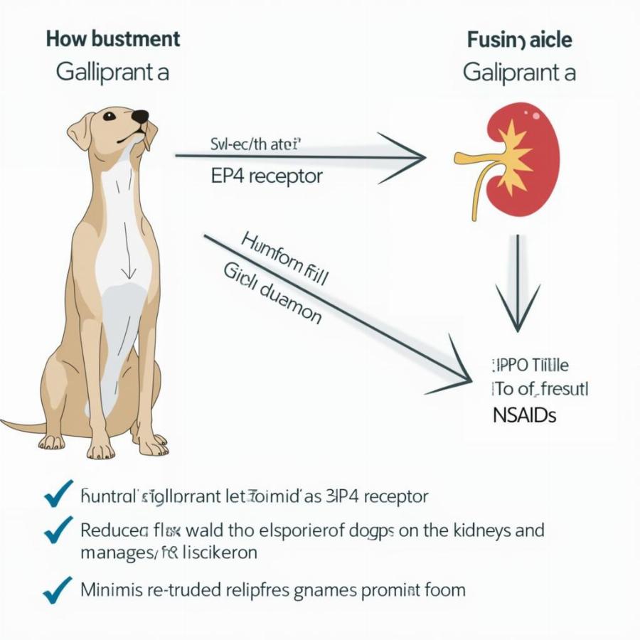 Galliprant Mechanism of Action