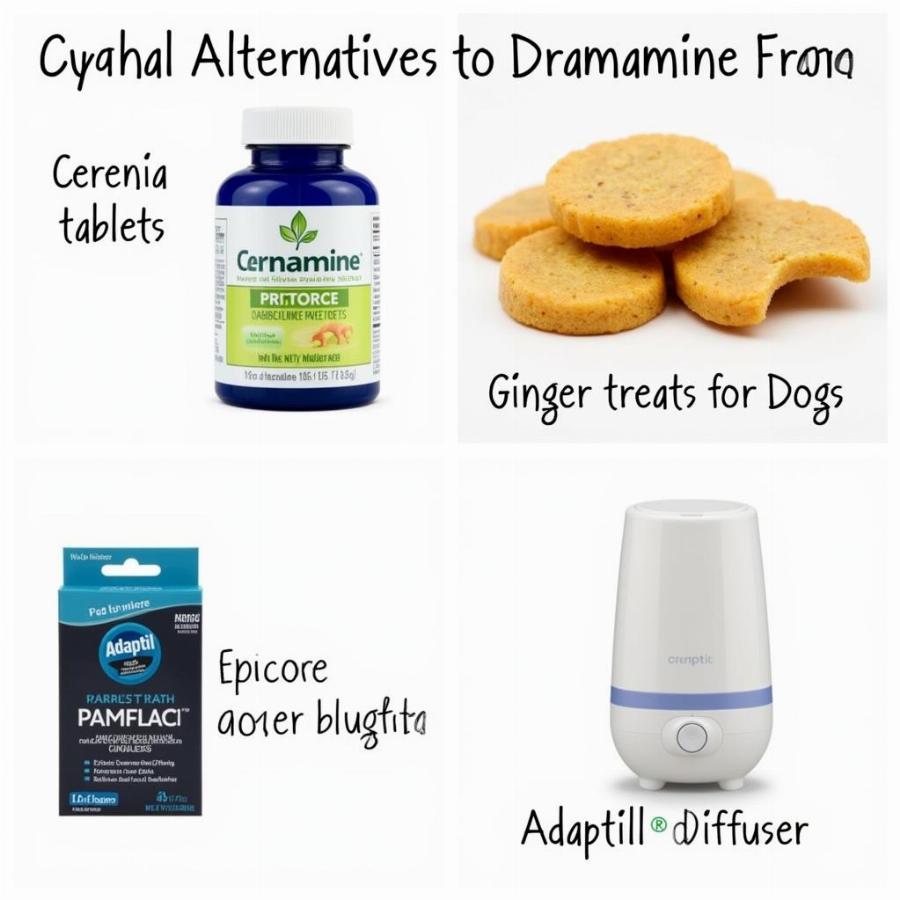 Dramamine Dosage for Dogs: A Safe Guide for Car Sickness