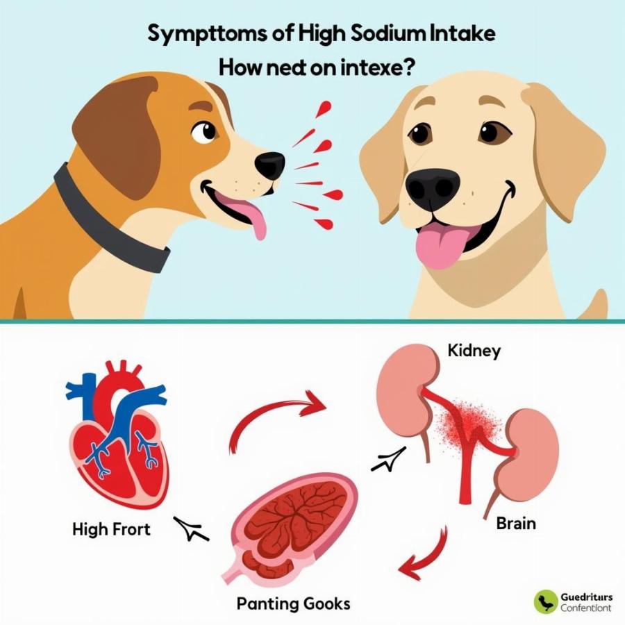 Risks of High Sodium Dog Food for Dogs