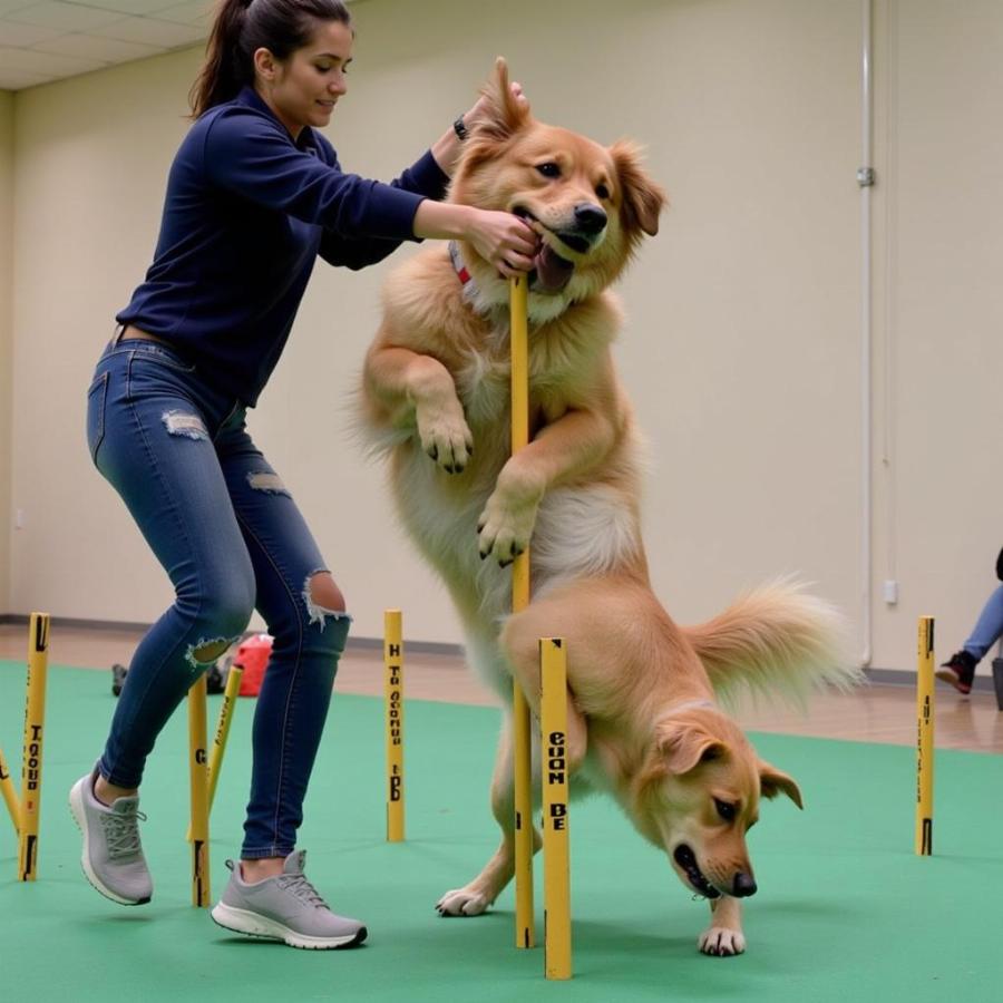 Advanced Dog Training: Complex Exercises