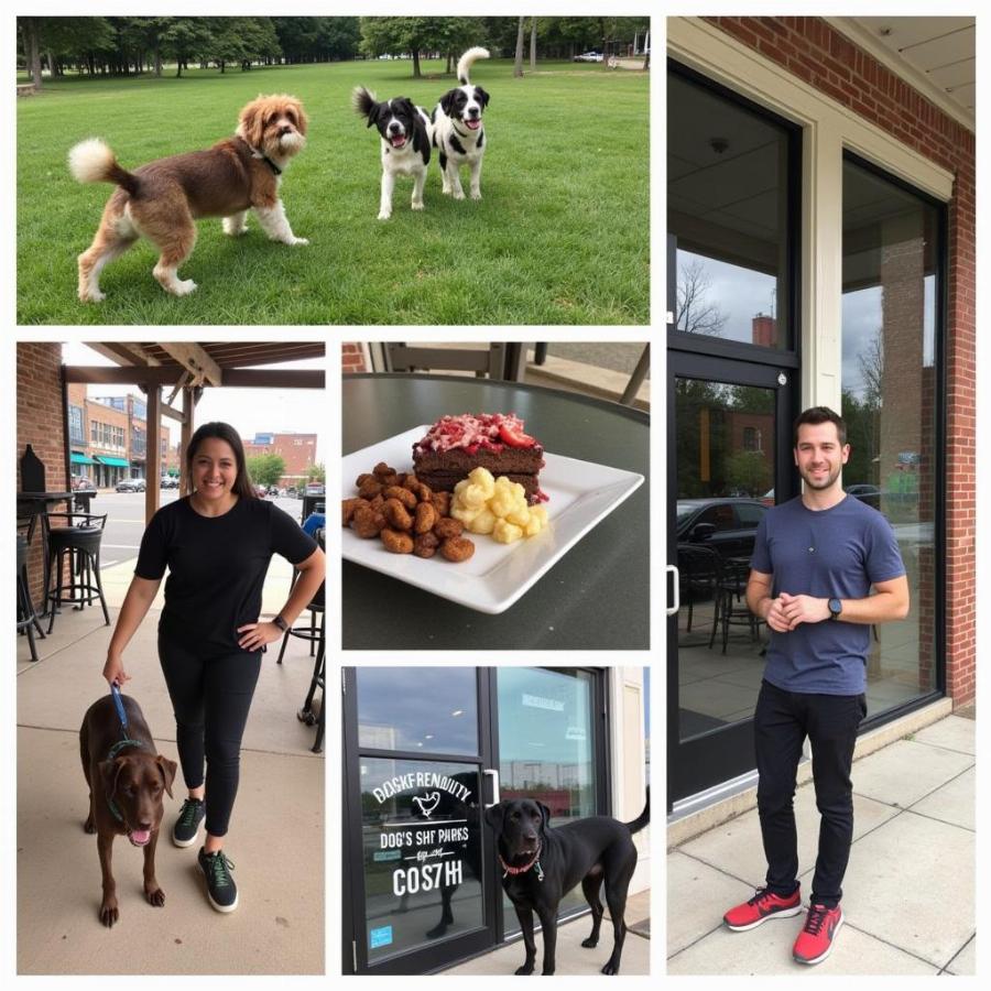 Exploring Dog-Friendly Spots in Detroit