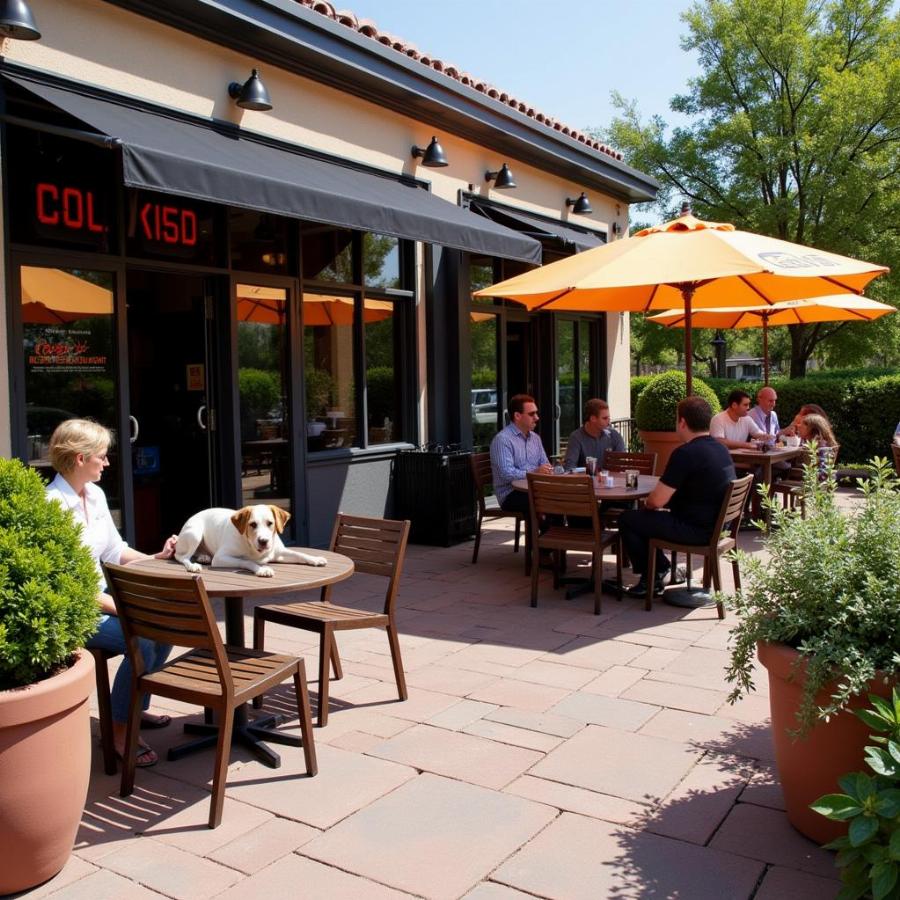 Lazy Dog Patio with Dog-Friendly Dining