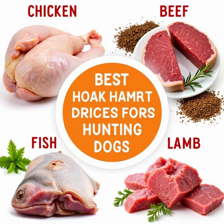 High-Quality Protein Sources for Hunting Dogs