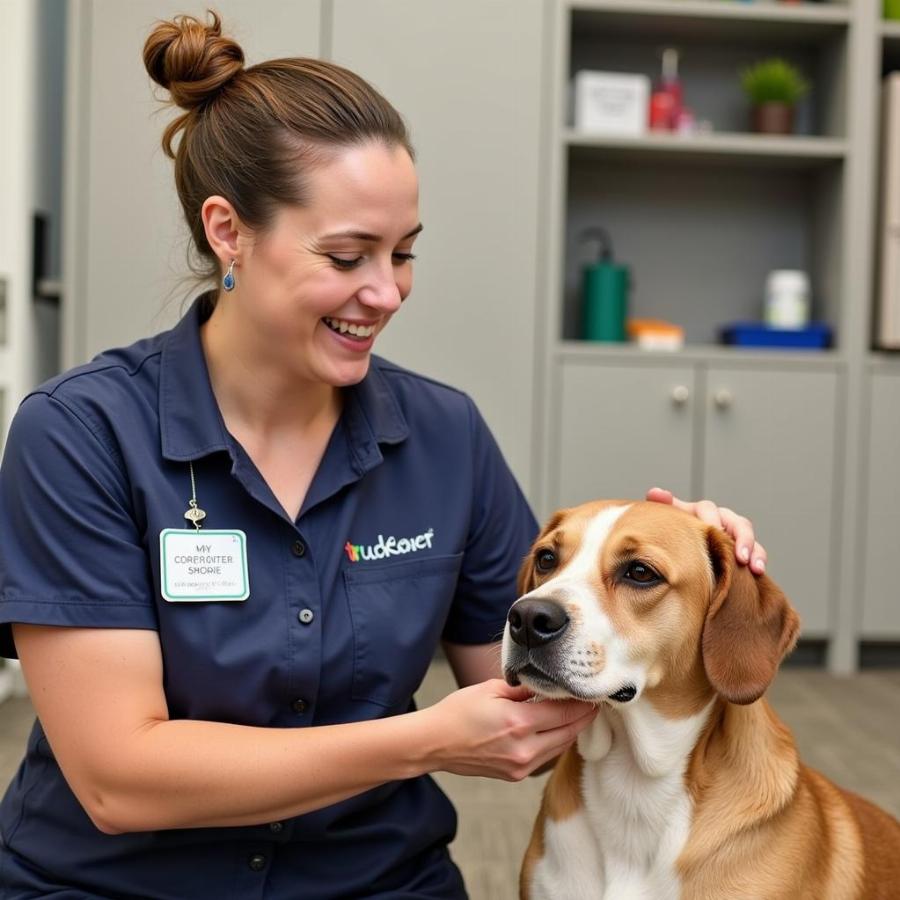 Nhân viên chăm sóc chó tại Truckee Dog Daycare