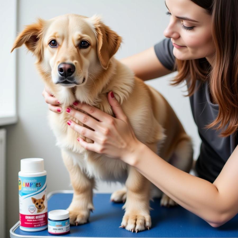 Dog Cream for Hot Spots: Soothing Your Canine Companion’s Itchy Skin