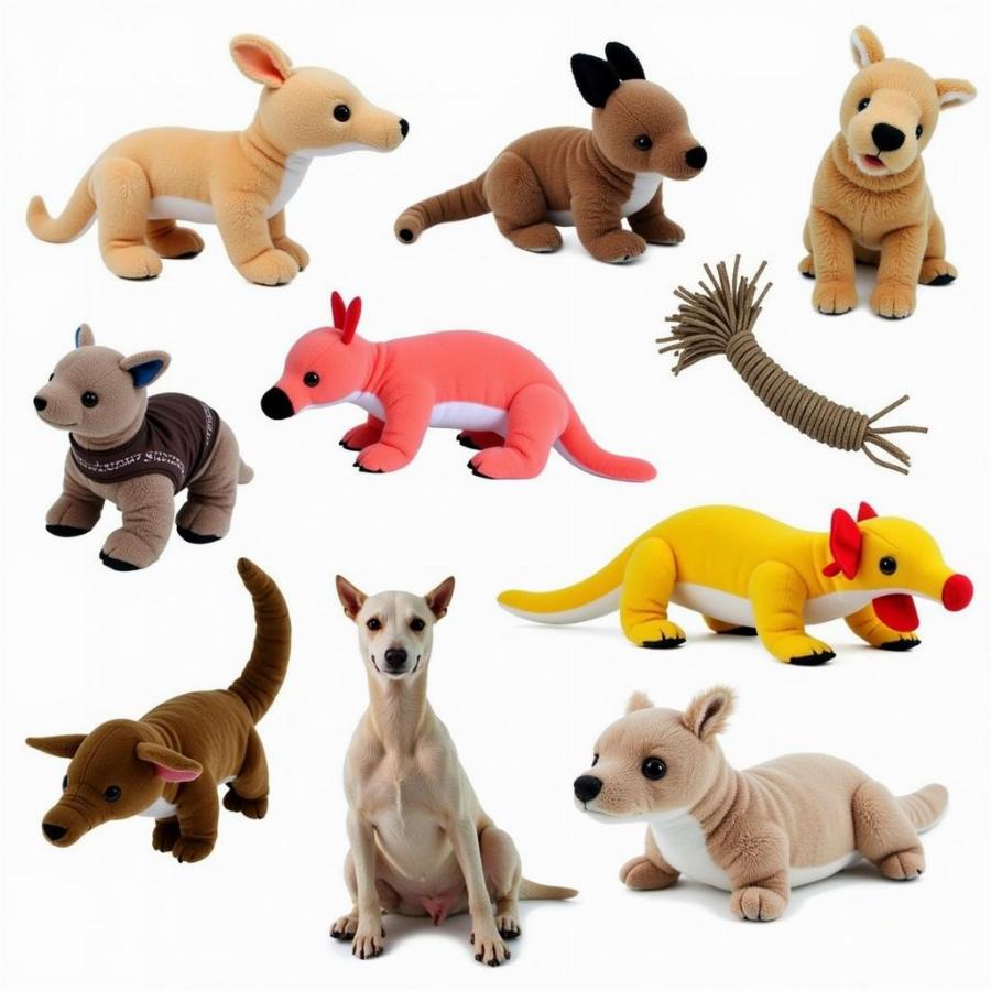 Variety of Platypus Dog Toys