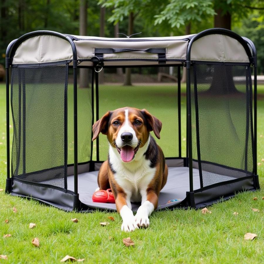 Portable Dog Play Yard in Backyard