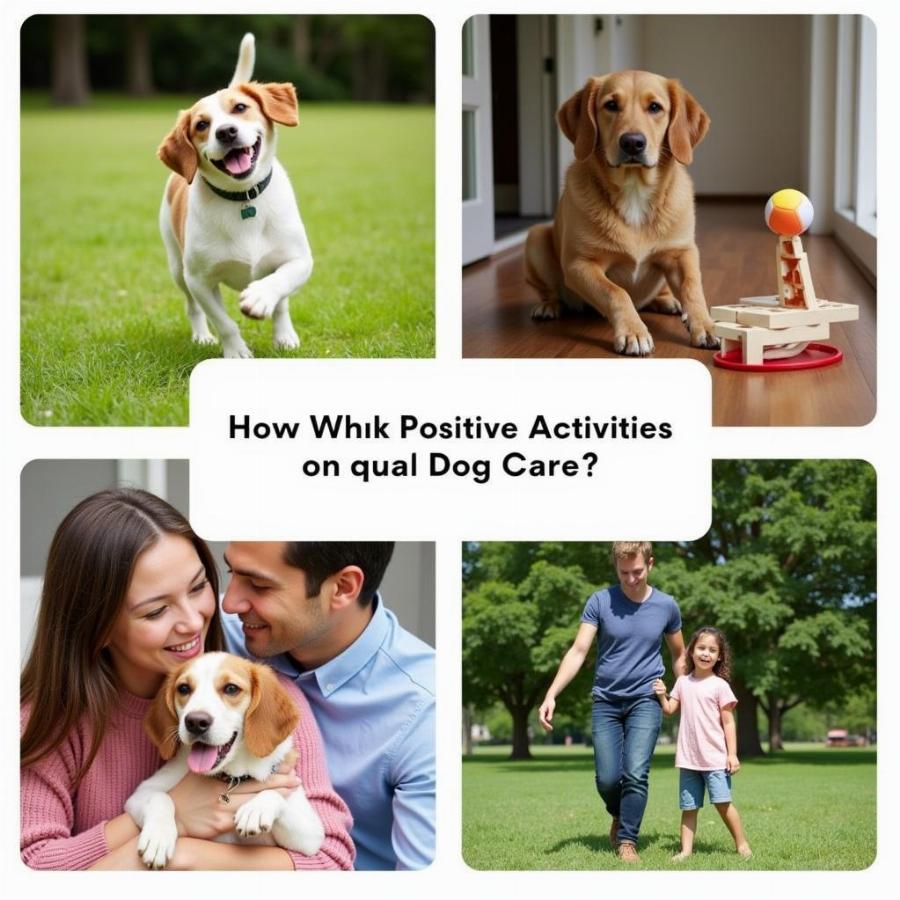 Examples of positive dog care activities