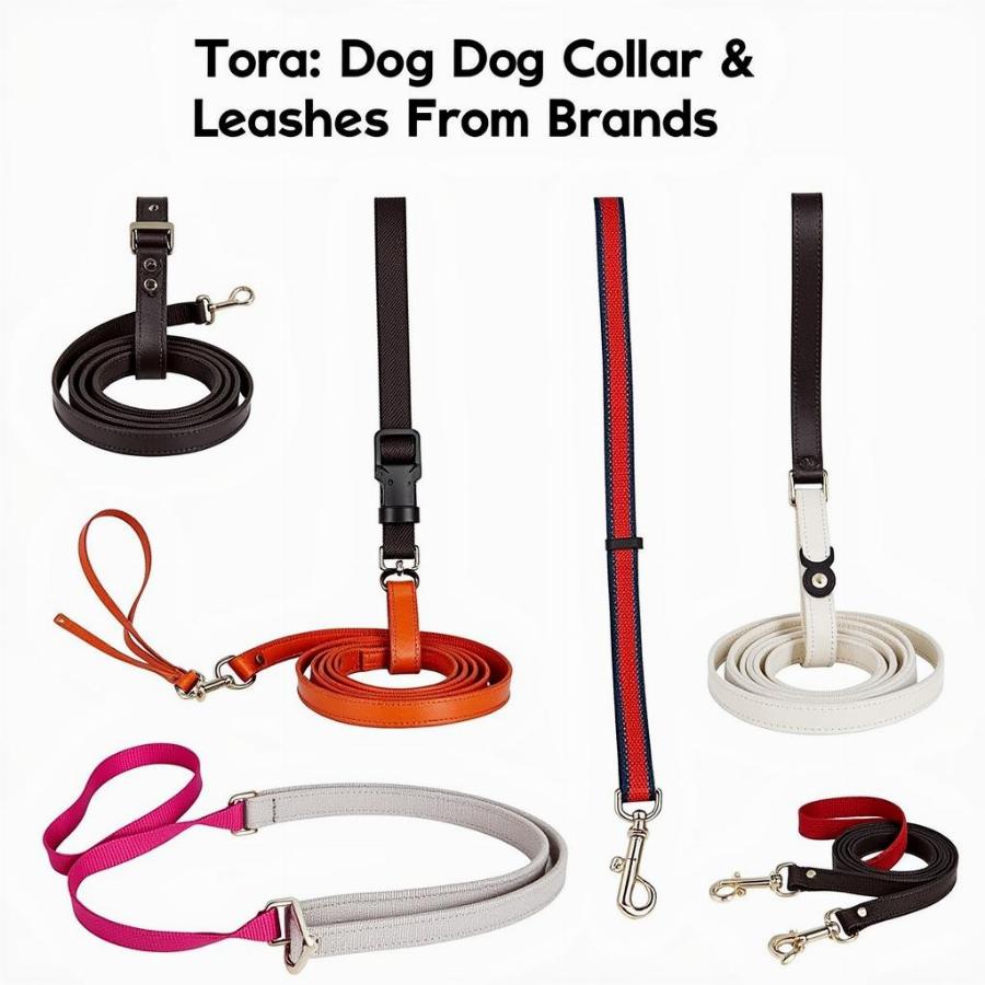 Exploring Alternatives: Premium Dog Collars and Leashes