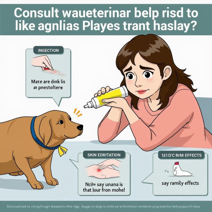 Risks of Using Preparation H for Dogs