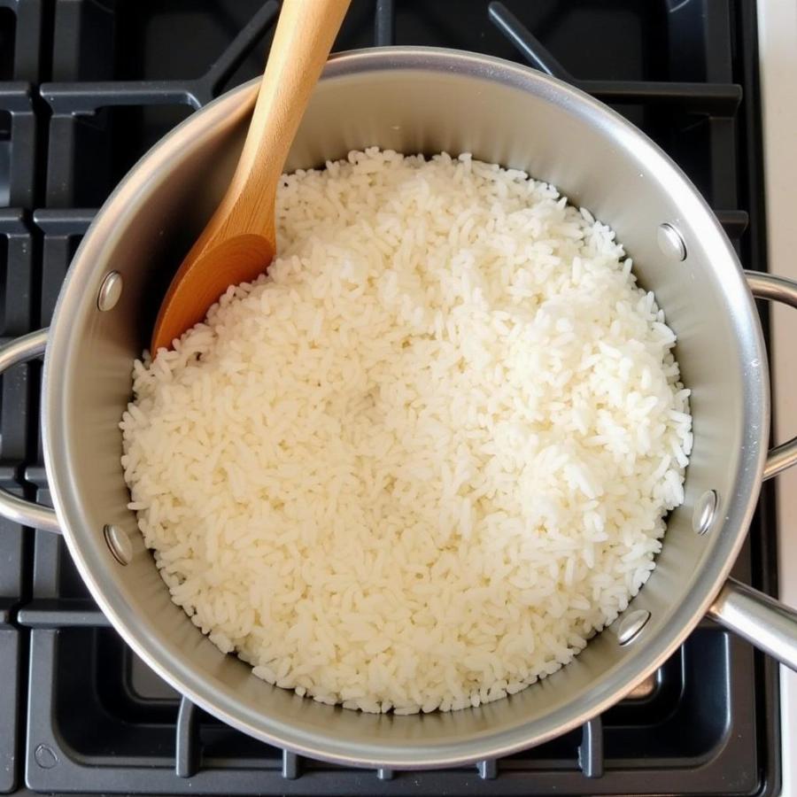 Preparing Plain Jasmine Rice for a Dog's Meal