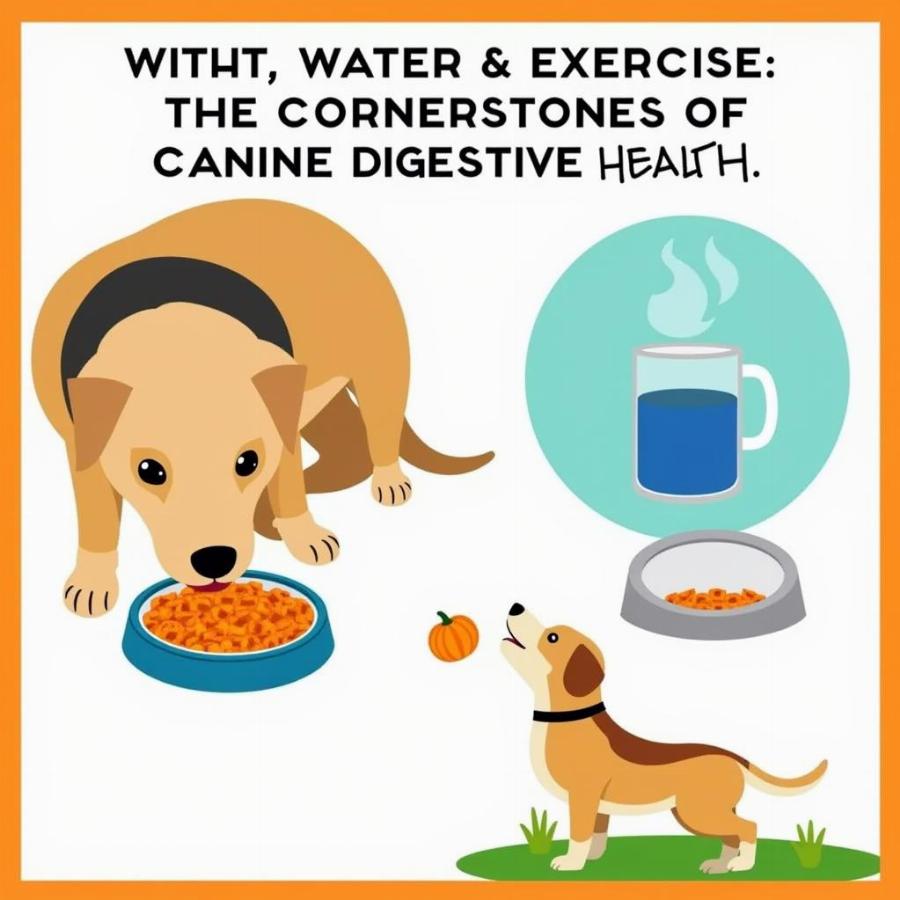 Preventing Dog Constipation