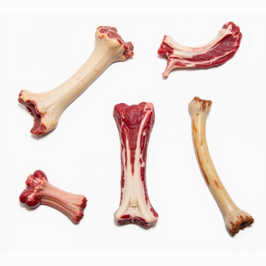 Raw Bones for Dogs: Benefits and Risks