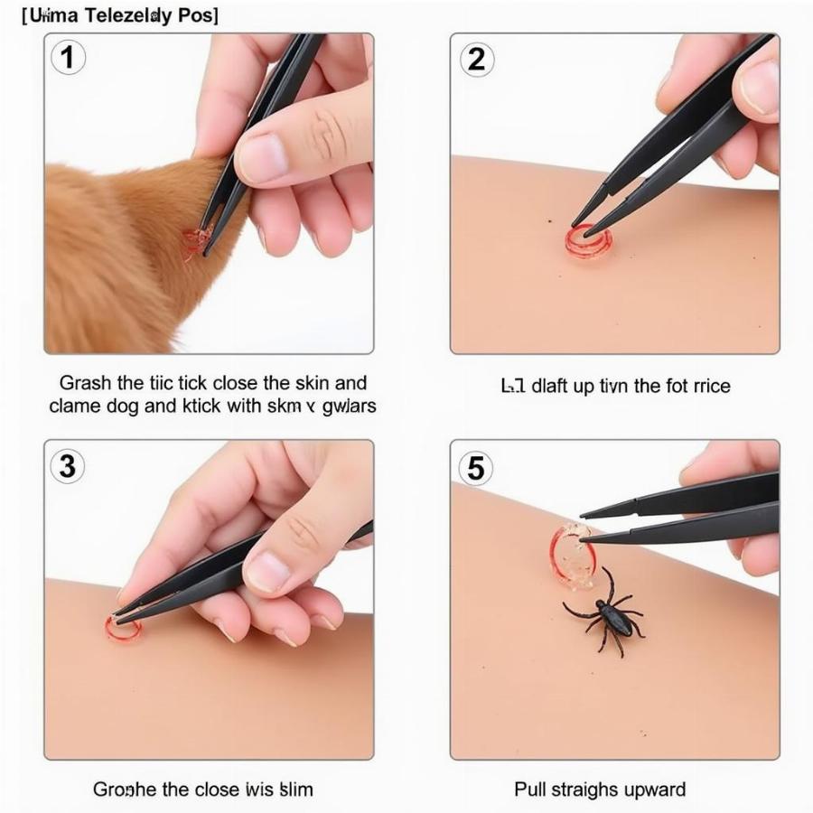 Proper Tick Removal Technique on a Dog