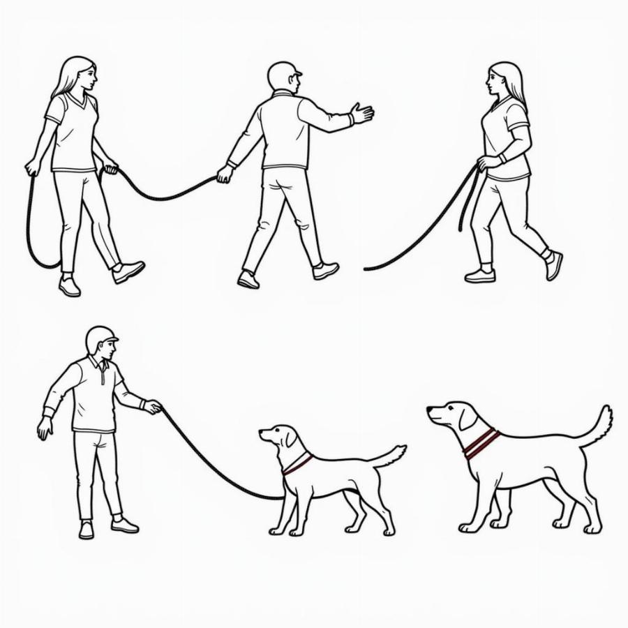 Safe Dog Leash Handling Techniques